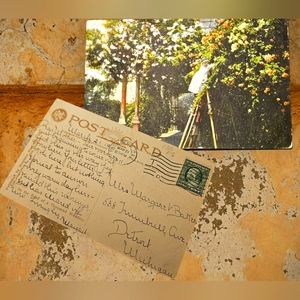 Archival 1911 Pasadena Roses Postcard